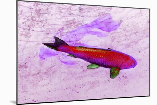 One Red Fish-Tom Kelly-Mounted Giclee Print