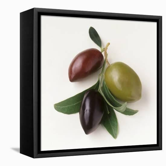 One Red, One Green and One Black Olive-Luzia Ellert-Framed Stretched Canvas