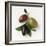 One Red, One Green and One Black Olive-Luzia Ellert-Framed Photographic Print