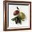 One Red, One Green and One Black Olive-Luzia Ellert-Framed Photographic Print