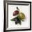 One Red, One Green and One Black Olive-Luzia Ellert-Framed Photographic Print