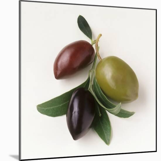 One Red, One Green and One Black Olive-Luzia Ellert-Mounted Photographic Print