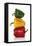 One Red, One Yellow and One Green Pepper, Stacked-Dieter Heinemann-Framed Premier Image Canvas