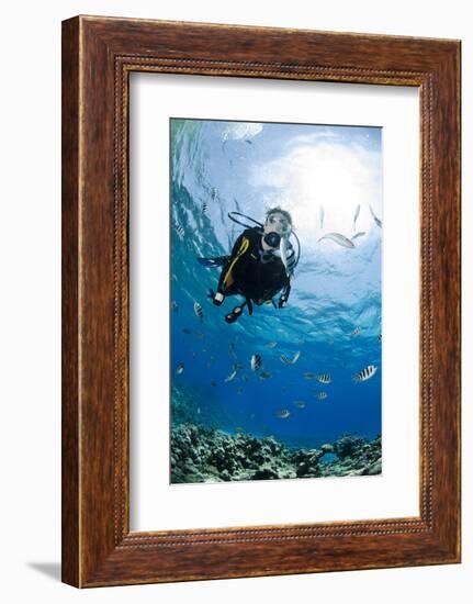 One Scuba Diver Diving in Shallow Water-Mark Doherty-Framed Photographic Print