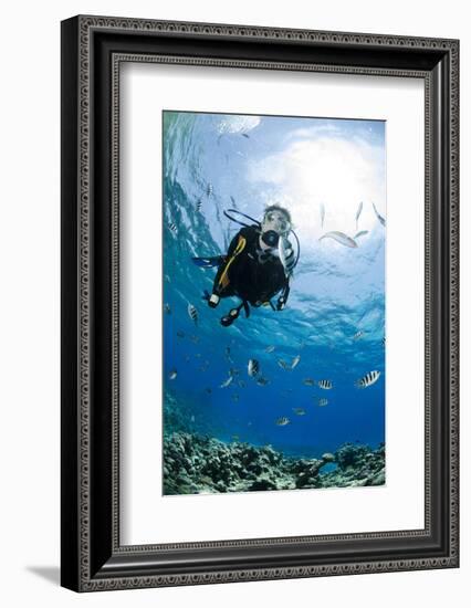 One Scuba Diver Diving in Shallow Water-Mark Doherty-Framed Photographic Print