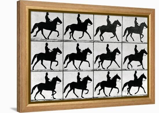 One Stride in Eleven Phases, 1881, Illustration from 'Animals in Motion' by Eadweard Muybridge,…-Eadweard Muybridge-Framed Premier Image Canvas