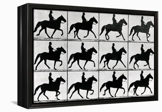 One Stride in Eleven Phases, 1881, Illustration from 'Animals in Motion' by Eadweard Muybridge,…-Eadweard Muybridge-Framed Premier Image Canvas