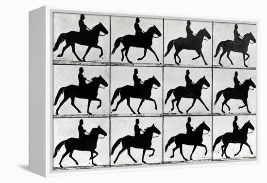 One Stride in Eleven Phases, 1881, Illustration from 'Animals in Motion' by Eadweard Muybridge,…-Eadweard Muybridge-Framed Premier Image Canvas