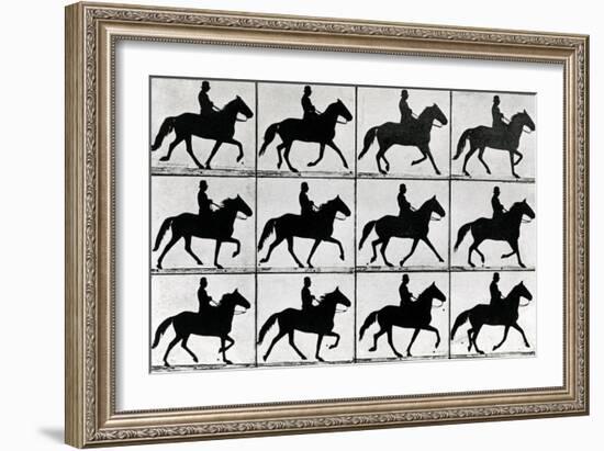 One Stride in Eleven Phases, 1881, Illustration from 'Animals in Motion' by Eadweard Muybridge,…-Eadweard Muybridge-Framed Giclee Print