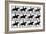 One Stride in Eleven Phases, 1881, Illustration from 'Animals in Motion' by Eadweard Muybridge,…-Eadweard Muybridge-Framed Giclee Print