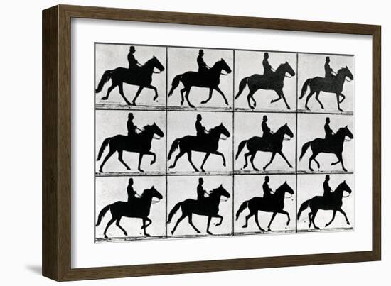 One Stride in Eleven Phases, 1881, Illustration from 'Animals in Motion' by Eadweard Muybridge,…-Eadweard Muybridge-Framed Giclee Print