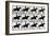 One Stride in Eleven Phases, 1881, Illustration from 'Animals in Motion' by Eadweard Muybridge,…-Eadweard Muybridge-Framed Giclee Print