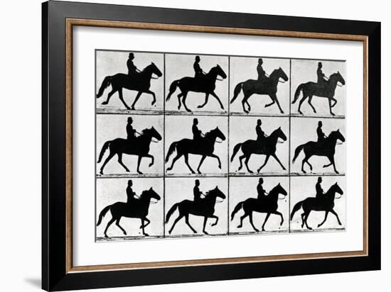 One Stride in Eleven Phases, 1881, Illustration from 'Animals in Motion' by Eadweard Muybridge,…-Eadweard Muybridge-Framed Giclee Print