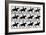 One Stride in Eleven Phases, 1881, Illustration from 'Animals in Motion' by Eadweard Muybridge,…-Eadweard Muybridge-Framed Giclee Print