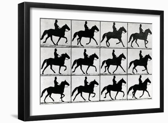 One Stride in Eleven Phases, 1881, Illustration from 'Animals in Motion' by Eadweard Muybridge,…-Eadweard Muybridge-Framed Giclee Print