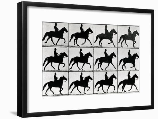 One Stride in Eleven Phases, 1881, Illustration from 'Animals in Motion' by Eadweard Muybridge,…-Eadweard Muybridge-Framed Giclee Print