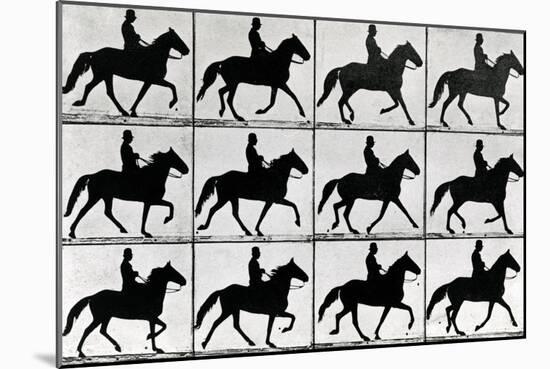 One Stride in Eleven Phases, 1881, Illustration from 'Animals in Motion' by Eadweard Muybridge,…-Eadweard Muybridge-Mounted Giclee Print