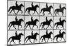 One Stride in Eleven Phases, 1881, Illustration from 'Animals in Motion' by Eadweard Muybridge,…-Eadweard Muybridge-Mounted Giclee Print