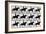 One Stride in Eleven Phases, 1881, Illustration from 'Animals in Motion' by Eadweard Muybridge,…-Eadweard Muybridge-Framed Giclee Print