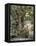 One Thousand Year Old Plane Tree, Trunk Has Circumference of 14 Metres, Isagarada, Pelion, Greece-R H Productions-Framed Premier Image Canvas