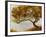 One Tree-Carney-Framed Giclee Print