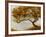 One Tree-Carney-Framed Giclee Print