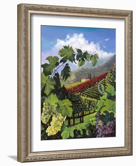 One Vine Day-Scott Westmoreland-Framed Art Print