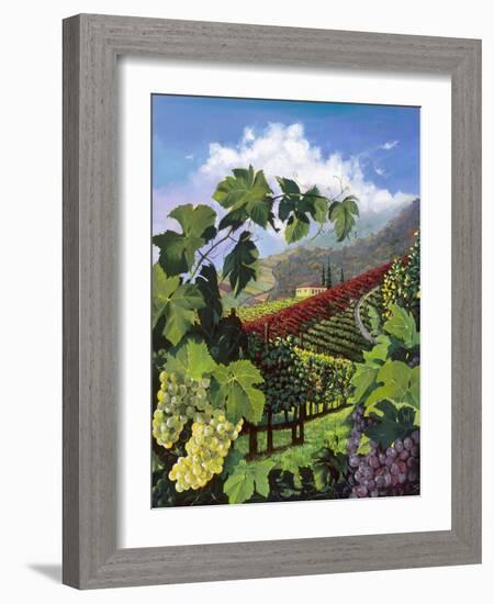 One Vine Day-Scott Westmoreland-Framed Art Print