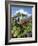 One Vine Day-Scott Westmoreland-Framed Art Print