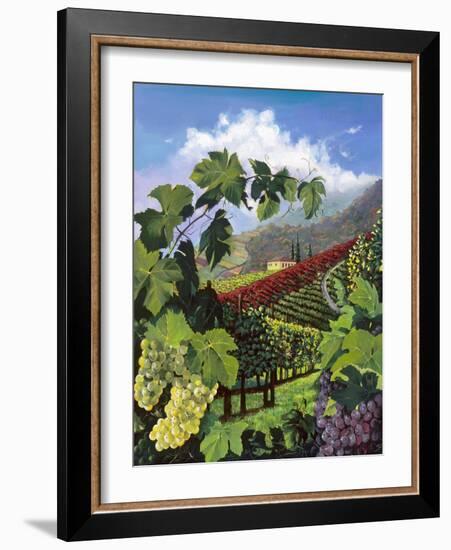 One Vine Day-Scott Westmoreland-Framed Art Print