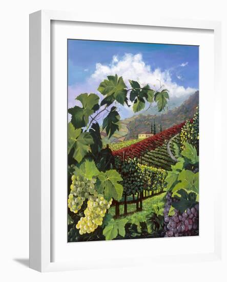One Vine Day-Scott Westmoreland-Framed Art Print