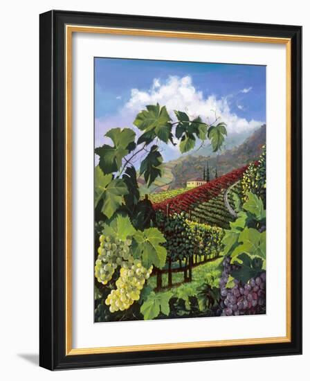 One Vine Day-Scott Westmoreland-Framed Art Print