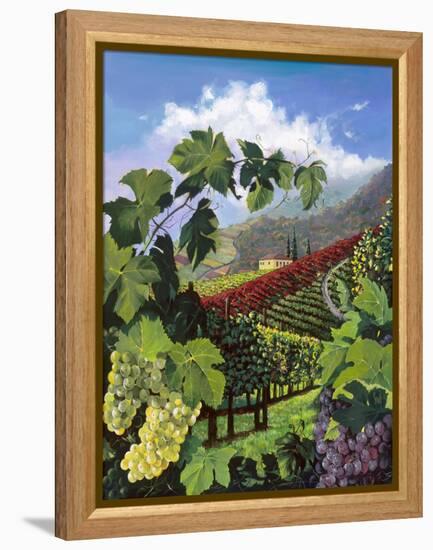 One Vine Day-Scott Westmoreland-Framed Stretched Canvas