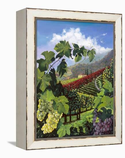 One Vine Day-Scott Westmoreland-Framed Stretched Canvas