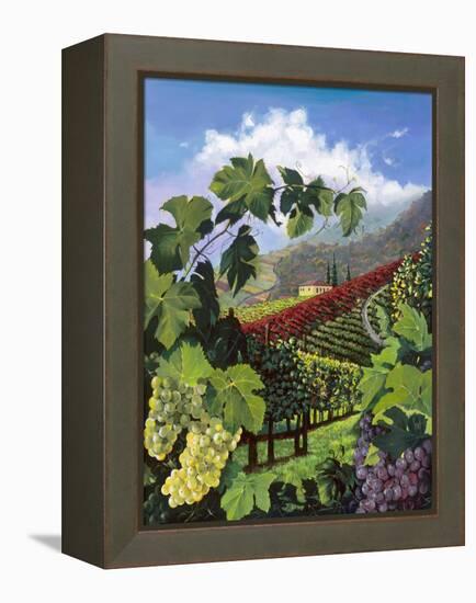 One Vine Day-Scott Westmoreland-Framed Stretched Canvas