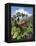 One Vine Day-Scott Westmoreland-Framed Stretched Canvas