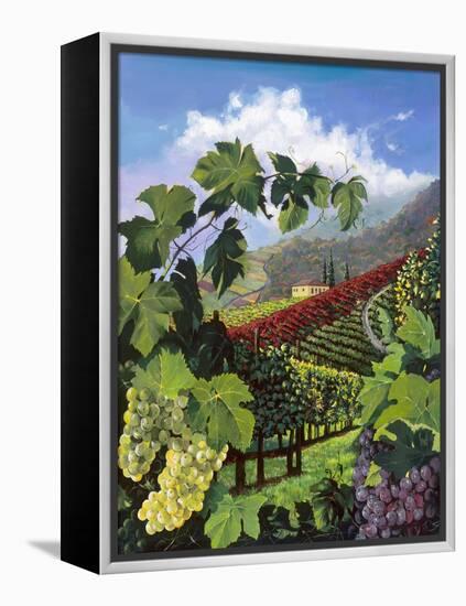 One Vine Day-Scott Westmoreland-Framed Stretched Canvas