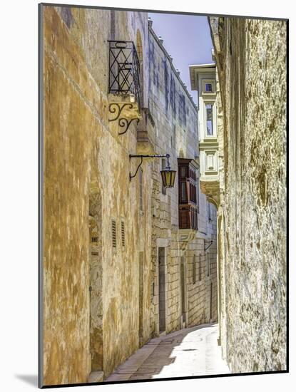 One Way Street-Assaf Frank-Mounted Giclee Print