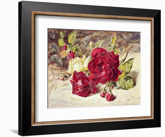 One White and Two Red Roses and Buds-Helen Cordelia Coleman Angell-Framed Giclee Print