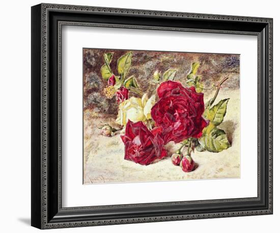 One White and Two Red Roses and Buds-Helen Cordelia Coleman Angell-Framed Giclee Print