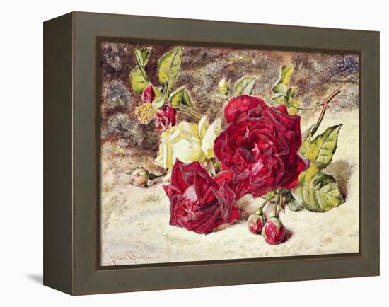 One White and Two Red Roses and Buds-Helen Cordelia Coleman Angell-Framed Premier Image Canvas