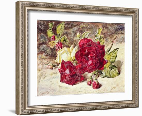 One White and Two Red Roses and Buds-Helen Cordelia Coleman Angell-Framed Giclee Print