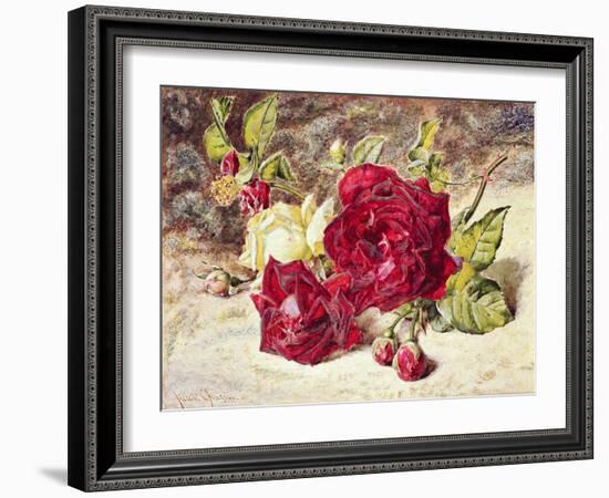 One White and Two Red Roses and Buds-Helen Cordelia Coleman Angell-Framed Giclee Print