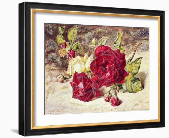 One White and Two Red Roses and Buds-Helen Cordelia Coleman Angell-Framed Giclee Print