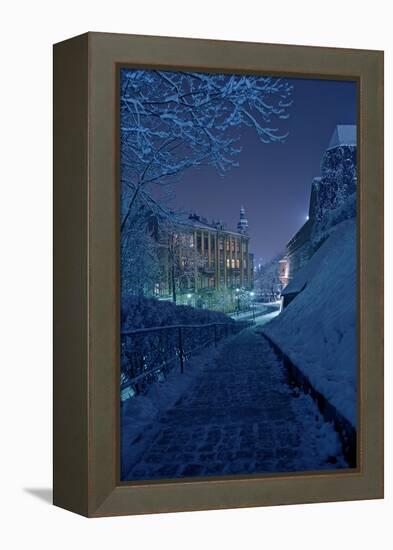 One Winter Night-duallogic-Framed Premier Image Canvas