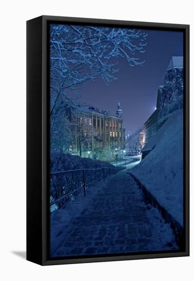 One Winter Night-duallogic-Framed Premier Image Canvas