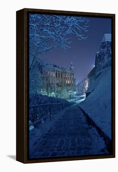 One Winter Night-duallogic-Framed Premier Image Canvas