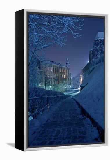 One Winter Night-duallogic-Framed Premier Image Canvas