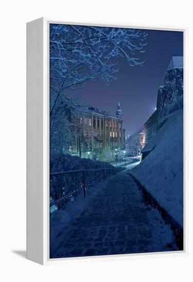 One Winter Night-duallogic-Framed Premier Image Canvas