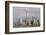 One World Trade Ctr and other Manhattan skyscrapers, from across the Hudson River, Jersey City, NJ-Susan Pease-Framed Photographic Print